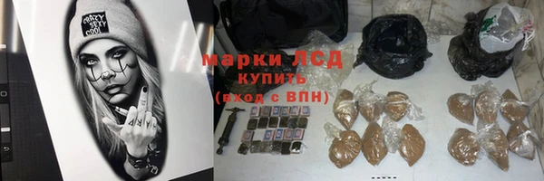 стаф Майский