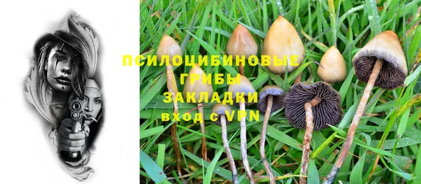 тгк Мегион